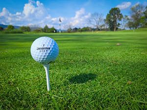 where is your driver ball location